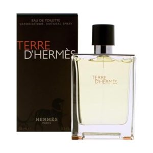 Hermes Terre D'Hermes For Men EDT 100 ML